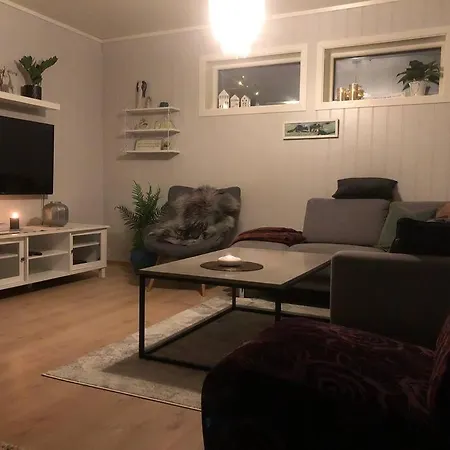 Koselig Pa Kvaloya Tromso